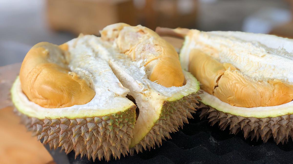Cara Menyimpan Durian di Kulkas agar Tidak Bau dan Tetap Segar, Ketahanan Maksimal